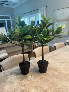 Pottery Barn artificial table plants